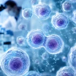 What Is a Stem Cell